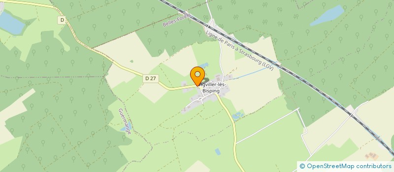 localisation de l'entreprise LE CONTAINER  BELLES-FORETS