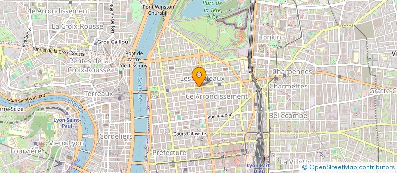 localisation de l'entreprise LE CORDONNIER BIEN CHAUSSE 6  LYON