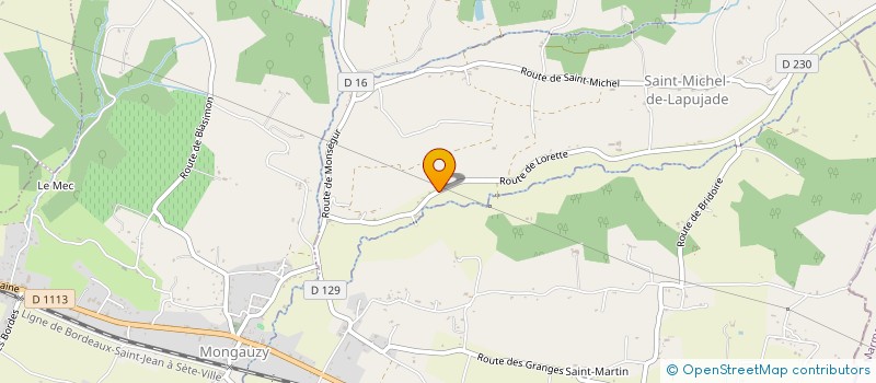 localisation de l'entreprise LE COUCOU SPORTIF  SAINT-MICHEL-DE-LAPUJADE