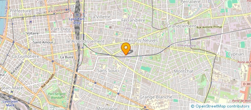 localisation de l'entreprise LE CRI DE LA CAROTTE  LYON