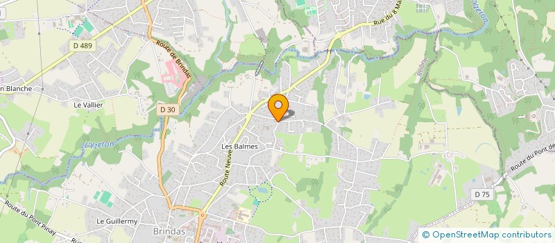 localisation de l'entreprise LE DAMIER DU JUBIN  BRINDAS