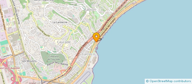 localisation de l'entreprise LE DAUPHIN à NICE