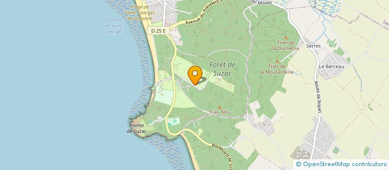 localisation de l'entreprise LE DAUPHIN  SAINT-GEORGES-DE-DIDONNE