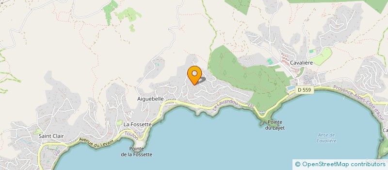 localisation de l'entreprise LE DAUPHIN VERT à LE LAVANDOU