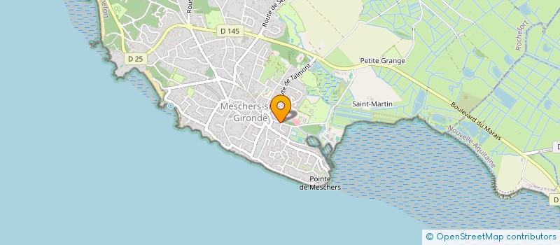 localisation de l'entreprise LE DAVID  MESCHERS-SUR-GIRONDE