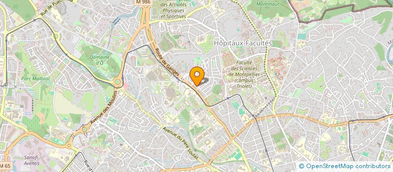localisation de l'entreprise LE DELICE à MONTPELLIER
