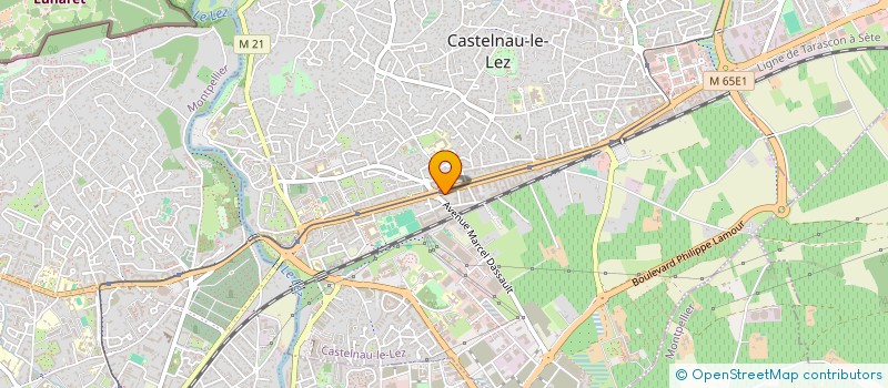 localisation de l'entreprise LE DELICE DE LA COMEDIE  CASTELNAU-LE-LEZ