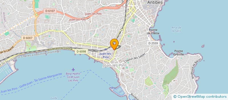 localisation de l'entreprise LE DELPHINE à ANTIBES