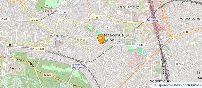 localisation de l'entreprise LE DERNIER DES MOHICANS à FONTENAY-SOUS-BOIS
