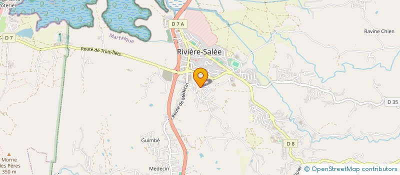 localisation de l'entreprise LE DIAMANT D'OLIVIA à RIVIERE-SALEE