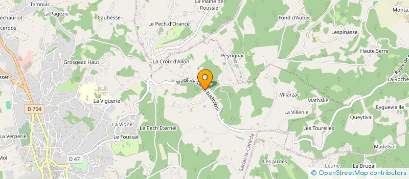 localisation de l'entreprise LE DIAMANT DU PERIGORD NOIR à SARLAT-LA-CANEDA