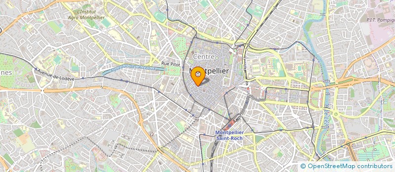 localisation de l'entreprise LE DIAMANT NOIR à MONTPELLIER