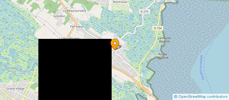 localisation de l'entreprise LE DIODON DE LA SOUFRIERE  LE CHATEAU D OLERON