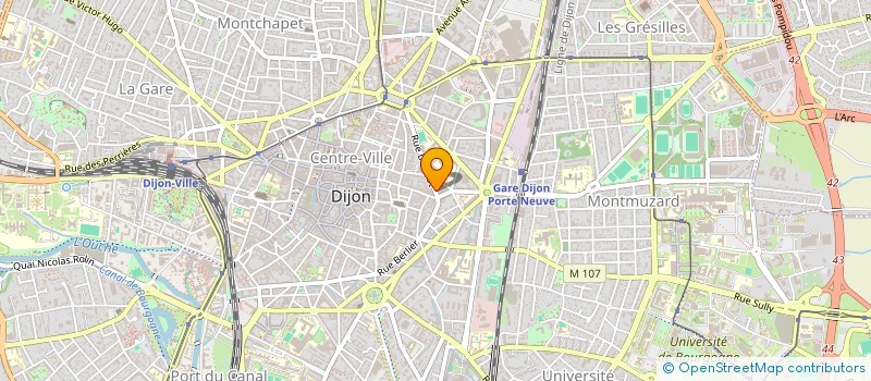 localisation de l'entreprise LE DODO à DIJON