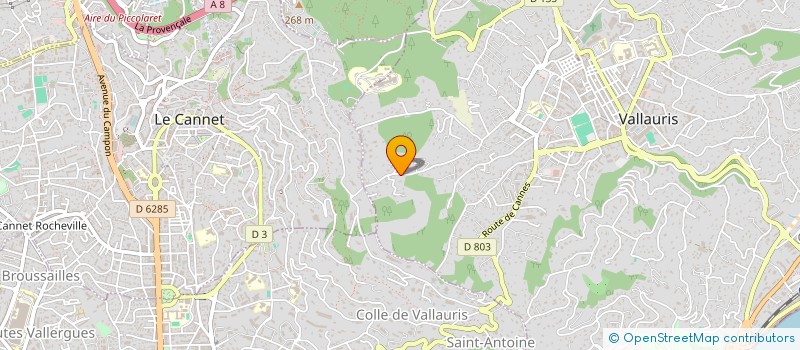 localisation de l'entreprise LE DOMAINE à VALLAURIS