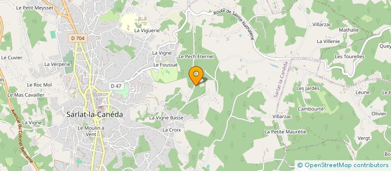 localisation de l'entreprise LE DOMAINE DU PECH ETERNEL à SARLAT-LA-CANEDA