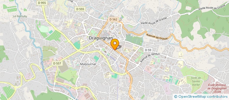 localisation de l'entreprise LE DOMINO DRAGUIGNAN  DRAGUIGNAN