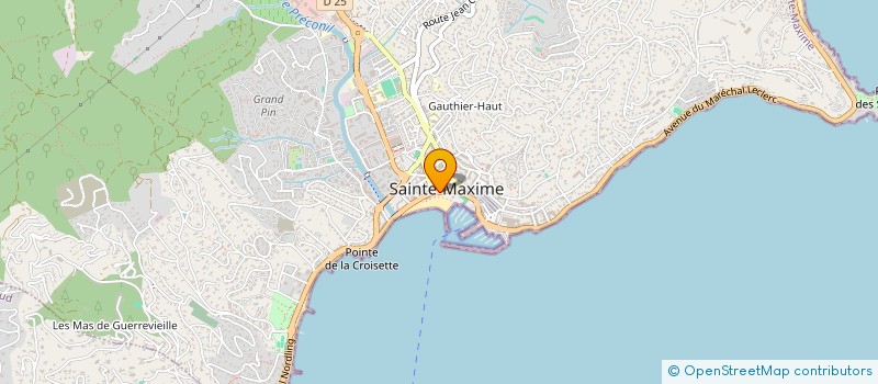 localisation de l'entreprise LE DRAGON BLEU à SAINTE-MAXIME