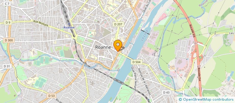 localisation de l'entreprise LE DUM'S  ROANNE