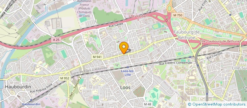 localisation de l'entreprise LE DUO  LOOS