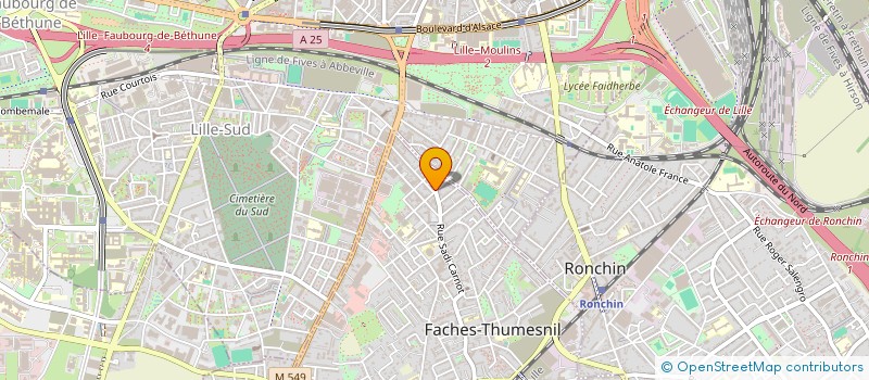 localisation de l'entreprise LE DUPLEX  FACHES-THUMESNIL