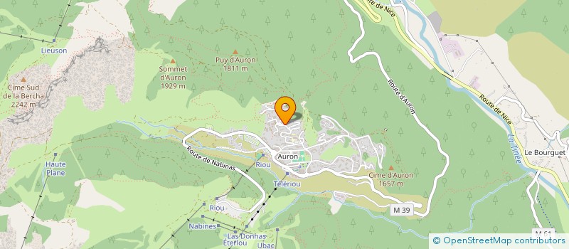 localisation de l'entreprise LE FLOCON  SAINT-ETIENNE-DE-TINEE