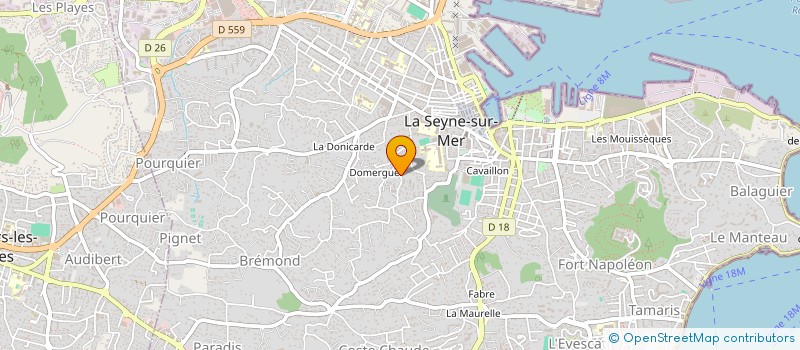 localisation de l'entreprise LE FLOCON DE NEIGE à LA SEYNE-SUR-MER