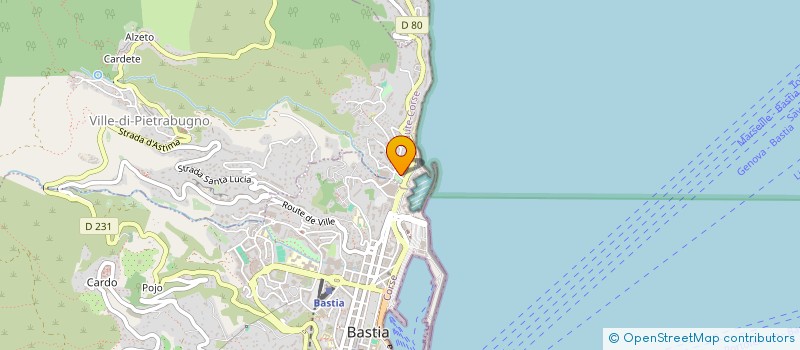 localisation de l'entreprise LE FLORE à BASTIA