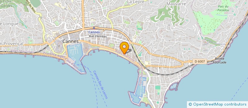 localisation de l'entreprise LE FLORE SALEYA  CANNES