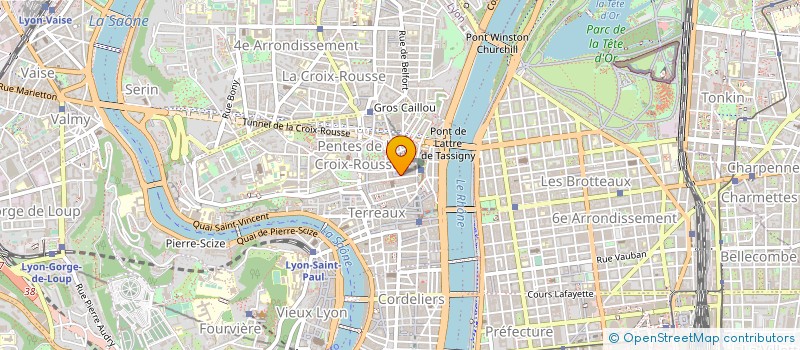 localisation de l'entreprise LE FONDU ENCHAINE à LYON