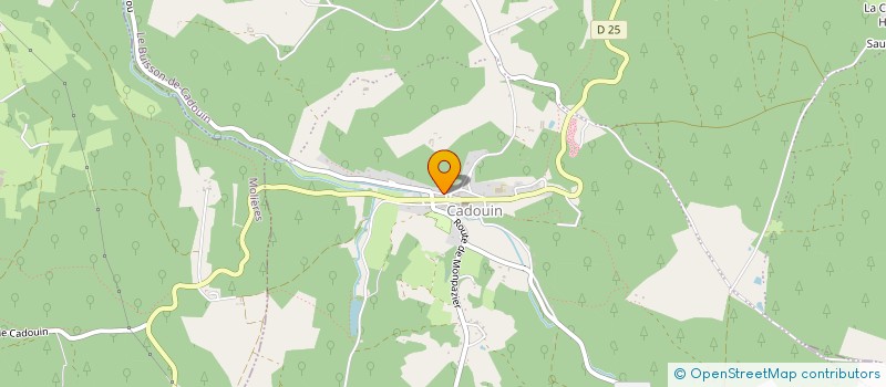 localisation de l'entreprise LE FORET  LE BUISSON-DE-CADOUIN