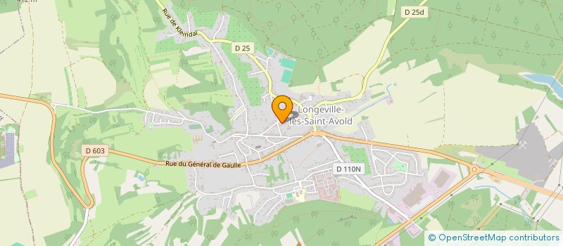 localisation de l'entreprise LE FORUM DE LA PISCINE à LONGEVILLE-LES-SAINT-AVOLD