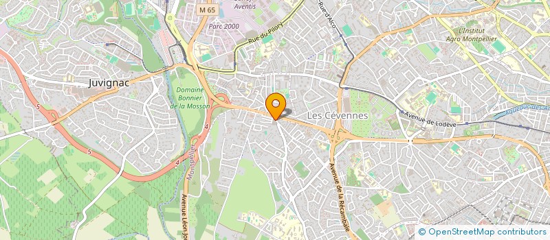 localisation de l'entreprise LE FOURNIL D EURYDICE à MONTPELLIER