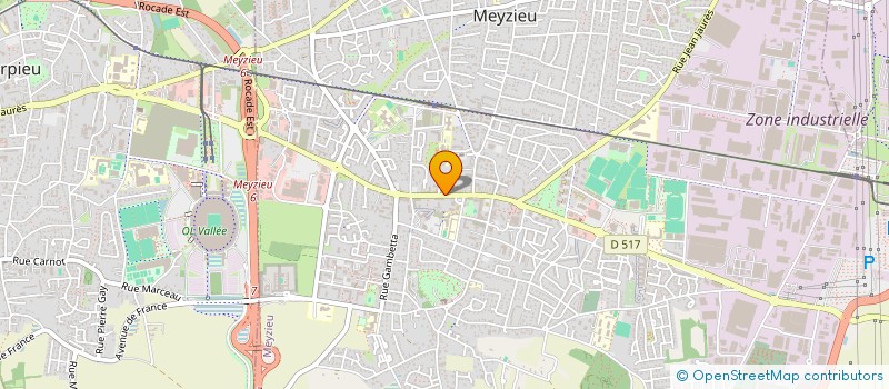 localisation de l'entreprise LE FOURNIL DES PAINS DE MEYZIEU à MEYZIEU