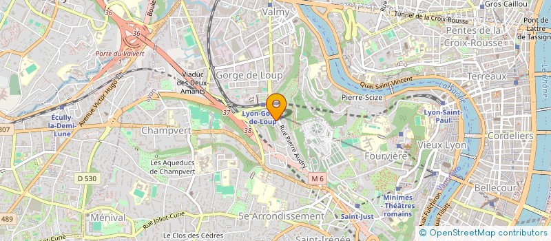 localisation de l'entreprise LE FOURNIL DU LOUP  LYON