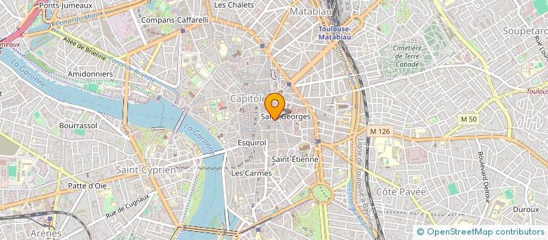 localisation de l'entreprise LE FRANC-TIREUR à TOULOUSE