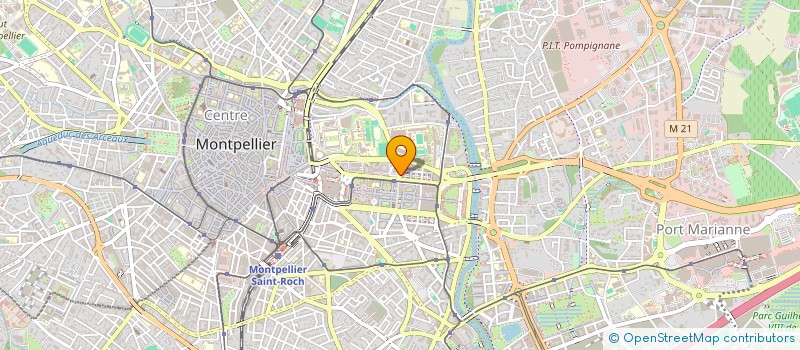 localisation de l'entreprise LE GANG DES FLEURS à MONTPELLIER
