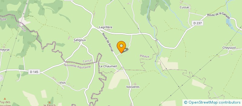 localisation de l'entreprise LE GITE DE LACHAUX à PLEAUX