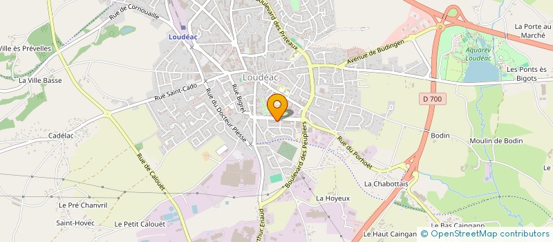 localisation de l'entreprise LE GOUDIVEZE INVEST  LE SOURN