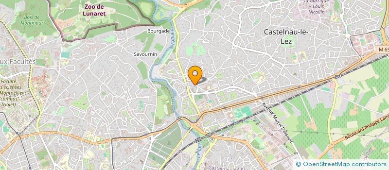 localisation de l'entreprise LE GRAIN DE RAISIN à CASTELNAU-LE-LEZ