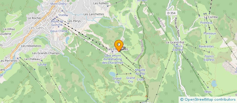 localisation de l'entreprise LE GRAND CRY IMMOBILIER  LES GETS