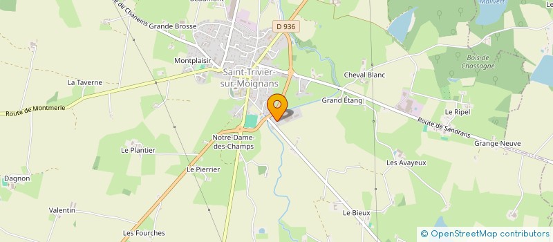 localisation de l'entreprise LE GRAND ETANG  SAINT-TRIVIER-SUR-MOIGNANS