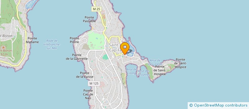 localisation de l'entreprise LE GRAND LARGE à SAINT-JEAN-CAP-FERRAT