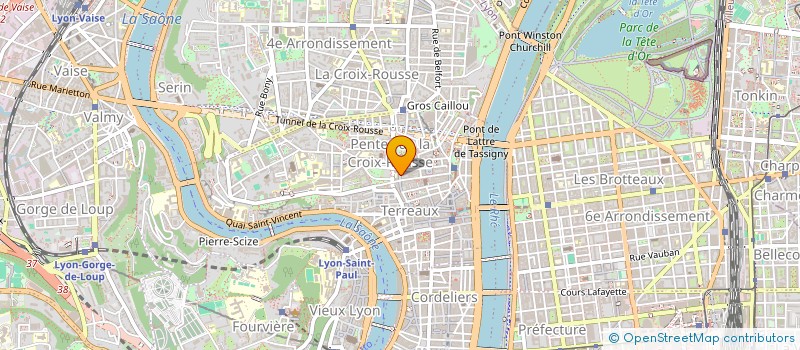 localisation de l'entreprise LE GRAND LARSEN à LYON