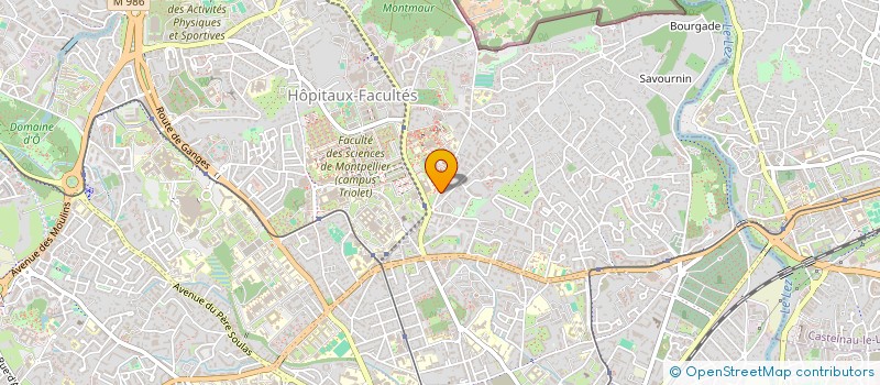localisation de l'entreprise LE GREEN  MONTPELLIER