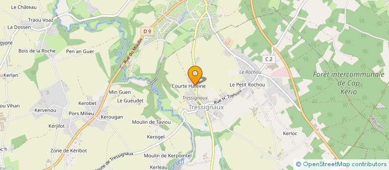 localisation de l'entreprise LE GUEN COUVERTURE  TRESSIGNAUX