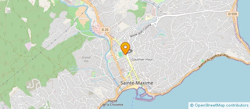 localisation de l'entreprise LE JARDIN D'OSAKA à SAINTE-MAXIME
