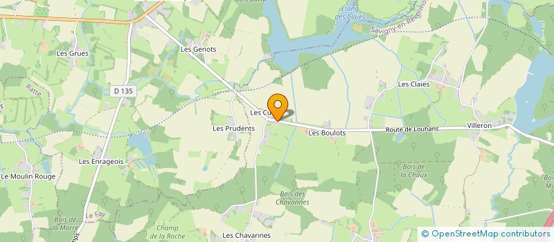 localisation de l'entreprise LE JARDIN DES AGAPES  SAVIGNY-EN-REVERMONT