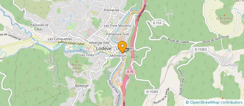 localisation de l'entreprise LE JARDIN INTERIEUR à LODEVE