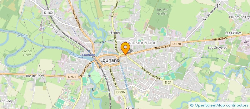 localisation de l'entreprise LE LEONE à LOUHANS